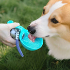 Limited Time: 30% OFF 🔥2026 New Dual-Material Pet Water Bottle,Dual Optional Body Materials (Plastic / 304 Stainless Steel) |  Full Waterproof & Leak-Proof Design | Durable Drop-Proof Structure